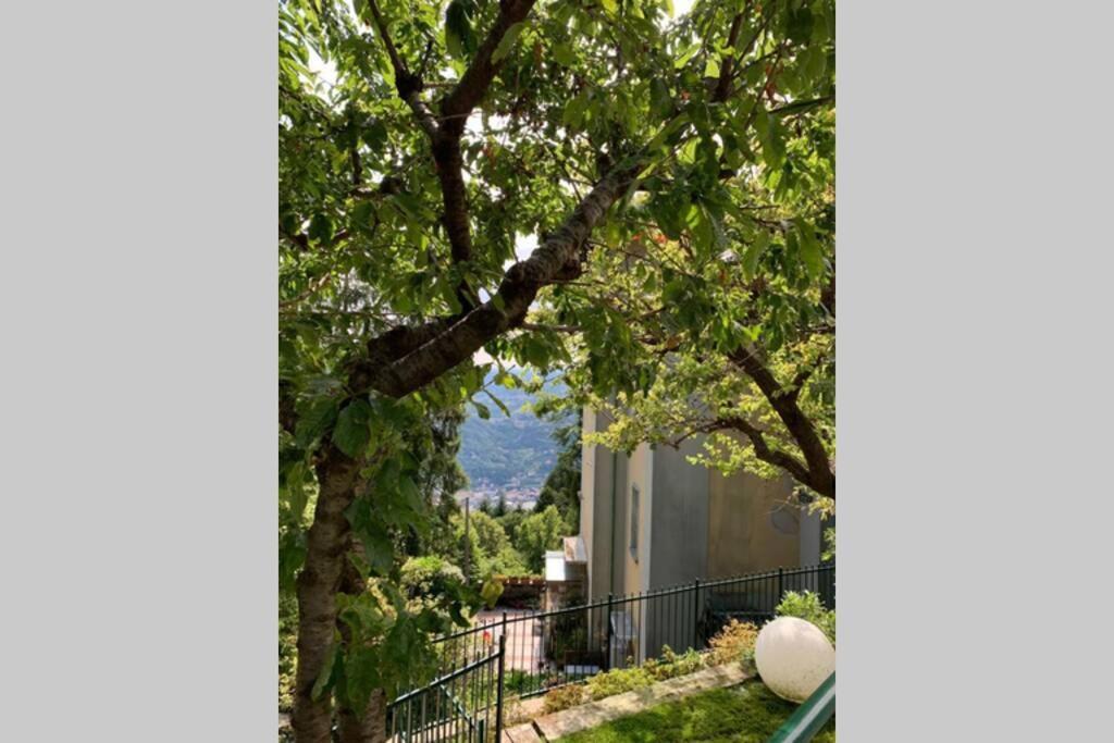 The Cherry Garden House Loft Lusso Daire Brunate Dış mekan fotoğraf